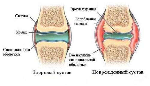 Орыс порно Ресей смотреть онлайн Николь Кидман порно сахнасы